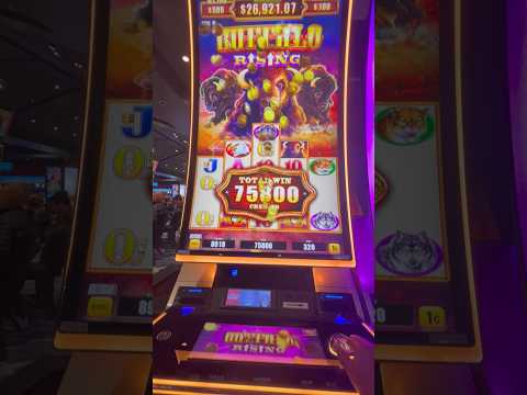 spin rise no deposit bonus codes