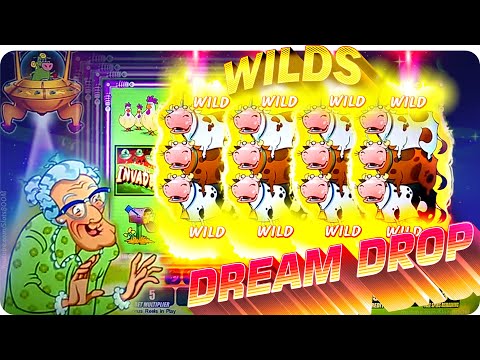 wildsino no deposit bonus