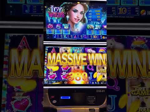 wildsino login