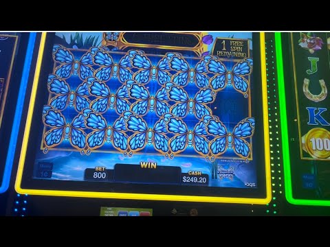 spin rise casino