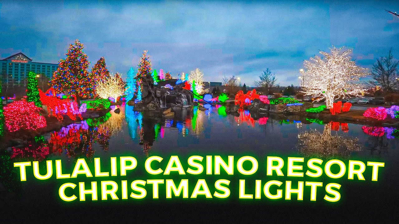 valor bet casino app download free